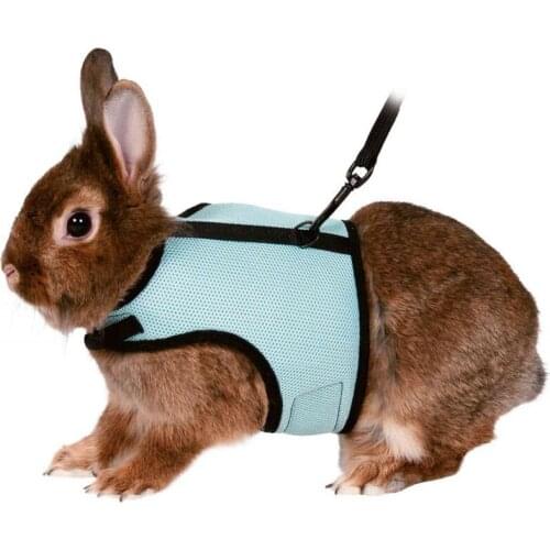 Small Pet Harness with Traction Rope Cute Adjustable Buckle Breathable Mesh for Rabbit Ferret Guinea Leashes Collars, Harnesses