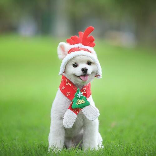 Dog Cat Caps Pet Santa Hat Birthday Scarf Collar Bow Tie Christmas Costume for Cats Puppy Kitten Small Dogs Pets Accessories