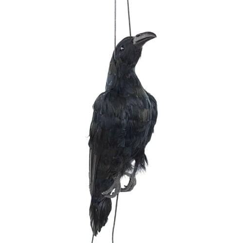 Realistic Hanging Dead Crow Decoy Lifesize Extra Large Black Feathered Crow