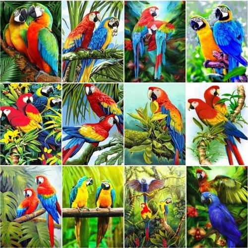 HUACAN Paint By Number Parrot Animal Handpainted Acrylic Wall Art Gifts Coloring By Numbers For Living Room Decoration