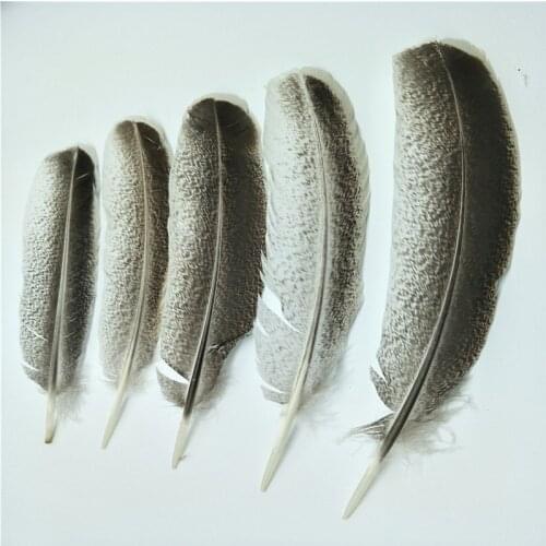 Wholesale Natural Eagle Feathers for Crafts Wedding Feathers Decoration Carnaval Assesoires Plumas Home Decoration Accessories
