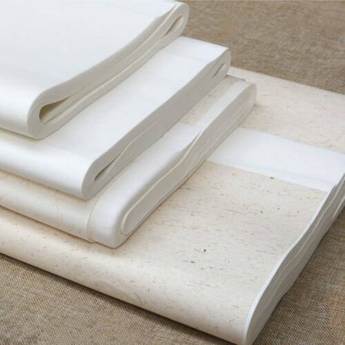 Half-Ripe Xuan Paper Chinese Calligraphy Writing Ripe Raw Xuan Paper Claborate-style and Freehand Brushwork Painting Rice Paper