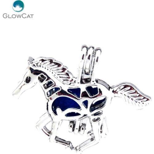 K481 5pcs/lot Silver 25mm Long Tail Horse Alloy Beads Stone Cage Pendant Fairytale Party Essential Oil Diffuser