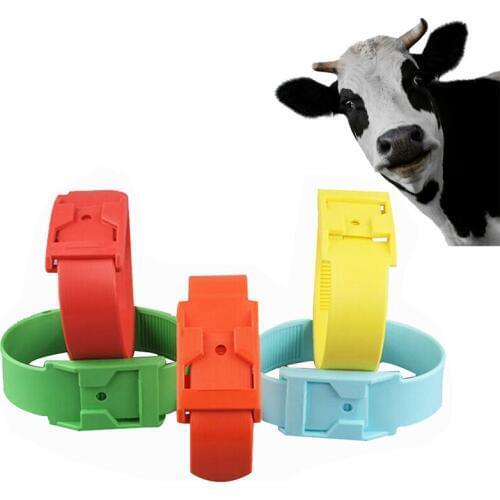 7 Colors Multicolor Cattle Identification Ring Cow Mark Band Footmark Band High Quality Identification Belt For Cow Foot Rings