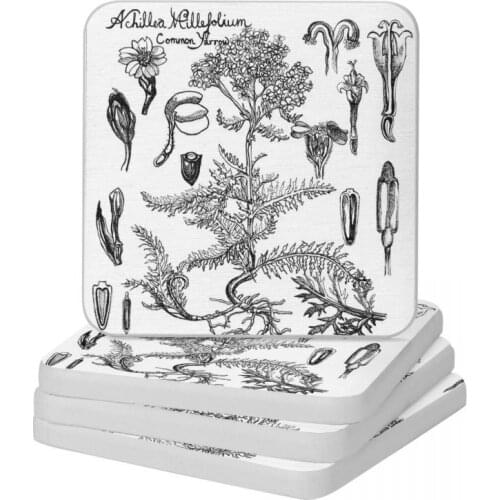 Yarrow Diatom Square Round Coaster Multifunction Cup Bonsai Mat Soap Toothbrush Pad Wholesale Diameter 10cm