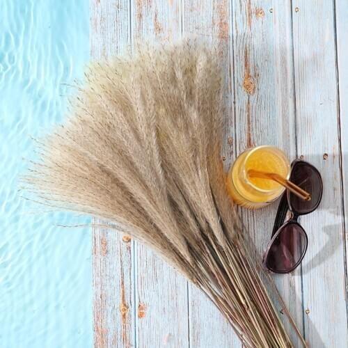 50pcs Dried Flower Reed Flower Dusting Flower Pampas Grass Wheat Dried Flower Wedding Shop Decoration Ornament