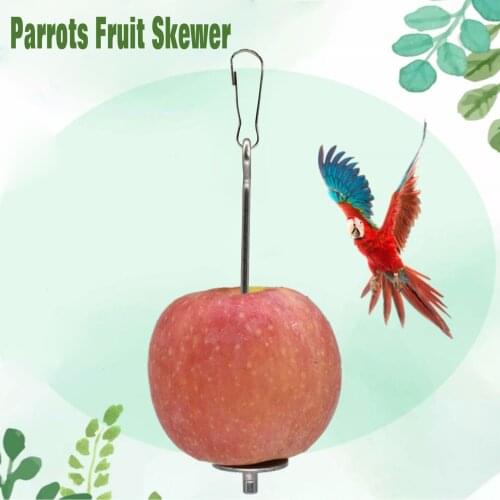 24cm/16cm Parrots Fruit Skewer Stainless Steel Birds Vegetable Fruit Holder Parrot Training Toys