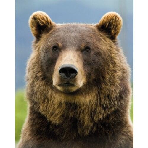 Brown Bear Home Decor # 5D DIY Diamond Painting Cross Stitch Kit Wall Sticker Mosaic Diamond Embroidery Painting