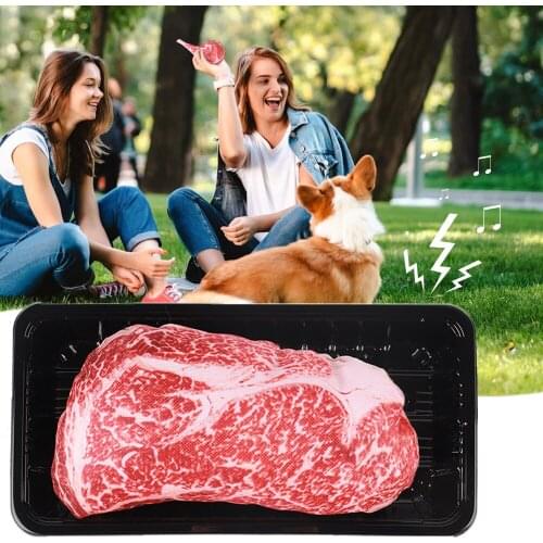 NEW Dogs Toys Funny Simulation Steak Pet Dog Toys for Small Dogs Bite Resistant Squeaky Puppy Cat Toy Pets Products Dogs Toy
