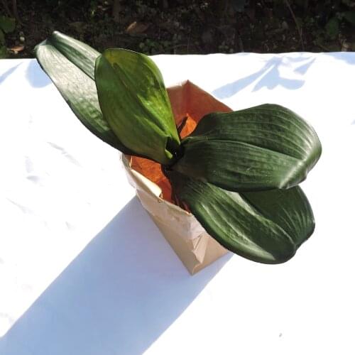 32CM Lifelike Artificial Orchid Plant in Organizer Bag Vase Craft Supplies Wedding Home Decoration