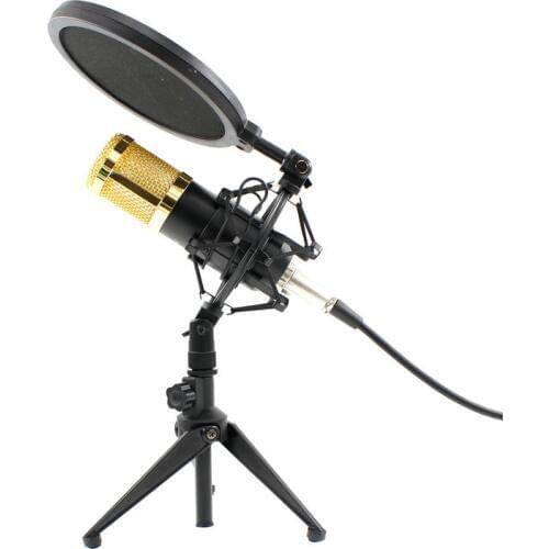 BM800 Professional Microphone Condenser BM 800 Microphone for Video Recording Radio Studio Microphone for Computer Shock Mount