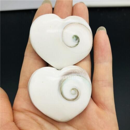 2pcs Natural Sun shell fossil Fossil Specimen Crystal Love Heart Reiki Shiva Eye 1 order