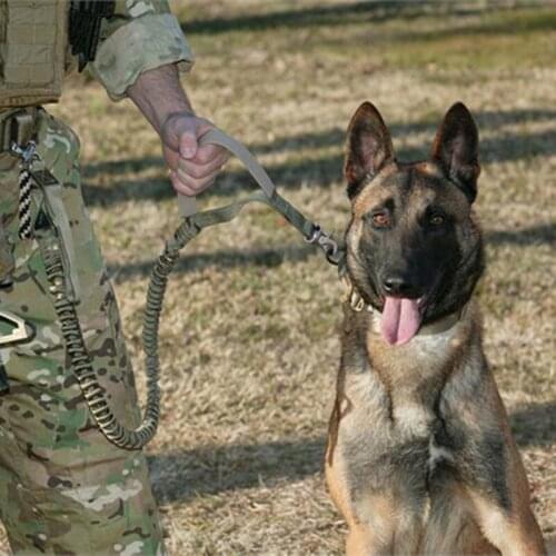 US Army Tactical Elastic Dog Leash Military 1000D Bungee Nylon Belt Adjustable Heavy Duty Panic Snap Spring Outdoor Hunting