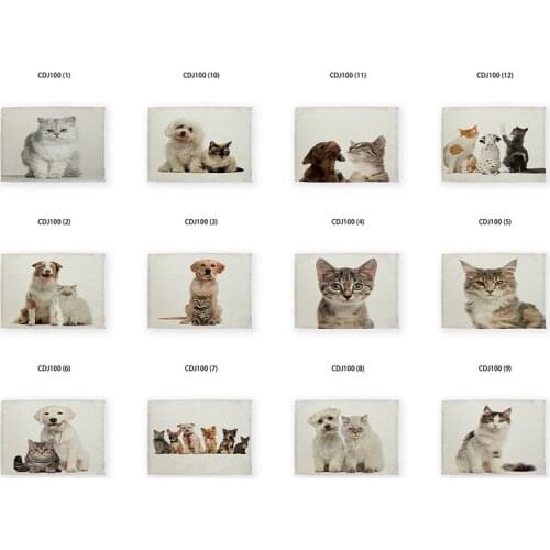 Cute cat placemat for dining table table mat placemat table mats for dining table table cover coat table Tablecloth for table