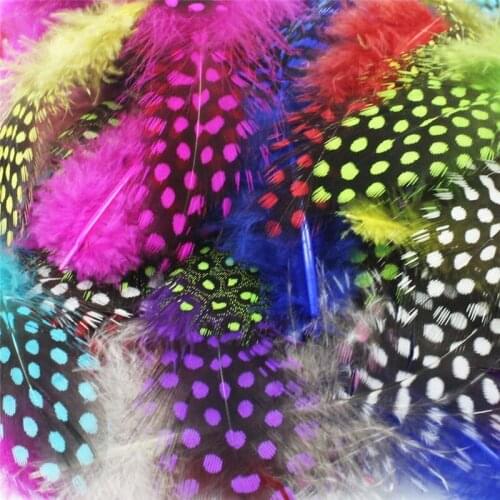 20 Piece/Lot Natural Unique Polka Dot Guinea Hen Plumage Feathers for Crafts Pearl Spotted Pheasant Feathers Sewing Accessories
