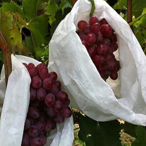Reusable 100Pcs/Set Practical Non Woven Fabric Mesh Bag Drawstring Design Grape Protection Bags Widely Applied for Flowers