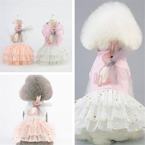 New Summer Lace Puppy Princess Dog Dress Chihuahua Small Dog Costume Party Birthday Wedding Sleeveless Pet Clothes Skirt