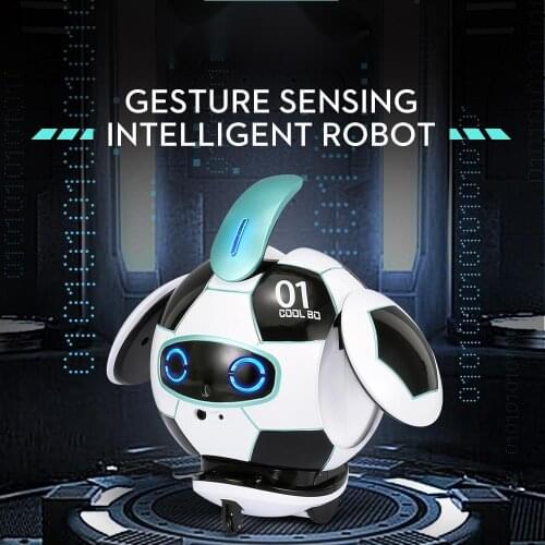 ZUIDID Programmable Robots China