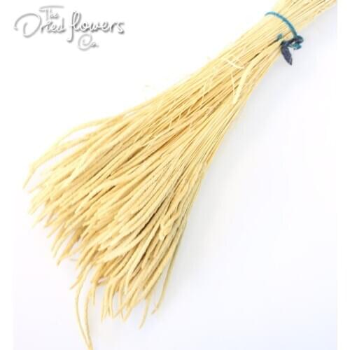 Dried Mountain Tassel Red Natural Pink Orange Blue Purple Dried flower Wedding decor home decor dri natural preserved