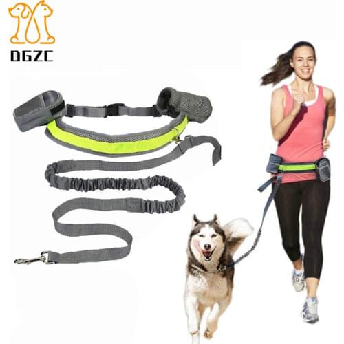 DGZC Leashes For Dogs