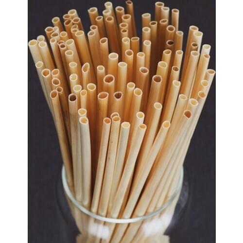 100pcs/set Pure Natural Plant Wheat Straw Environmental Protection Straw Drink Cocktail Disposable Straws Degradable E11650