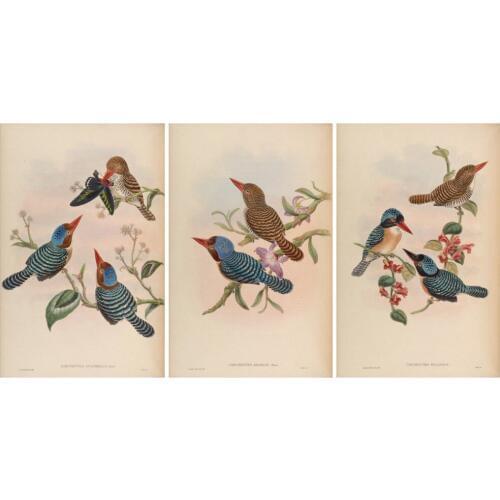 Pastoral animal decorative pattern birds flower scenery oil painting canvas prints printed on canvas wall art decoration picture