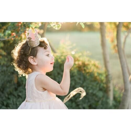 Handmade Glitter Gold Prince Princess Crown Hats,Shining Birthday Party Decorations,Baby shower Decor Girl First Party Favors