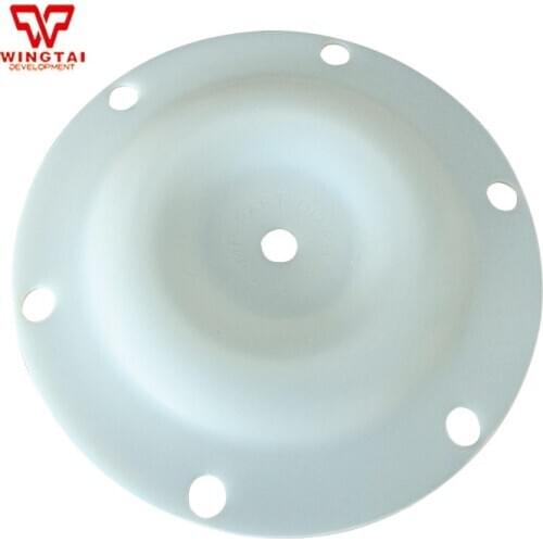 PTFE Diaphragm For BML-20 Double-way Pneumatic Diaphragm Pump
