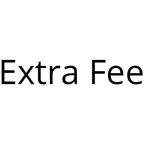 Extra Fee For Shipping Cost or Other Packing Materials No Products