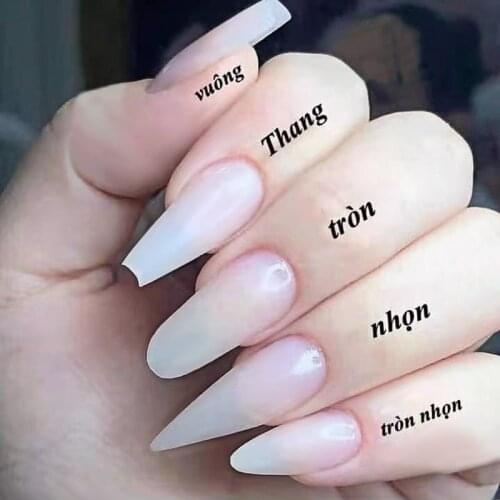 500 Pieces of Transparent Natural Color Nail Tips False Nail Tips Ballet Nails Factory Direct Sales Nails Accessories