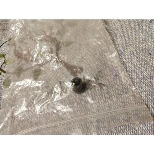 385002233A 3850 02233 385002233 Konica QD21 R2 minilab Shaft holder