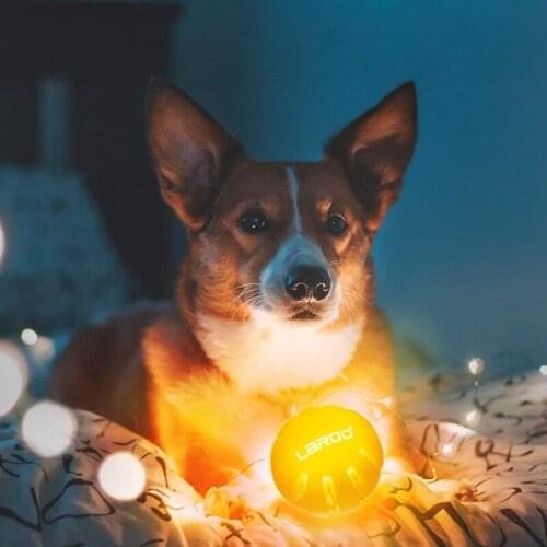 HONEYCARE LaRoo LED Glow Dog Balls 360 Degree Interactive Dog Toy USB Rechargeable Cat Kitten Playing Flashlight