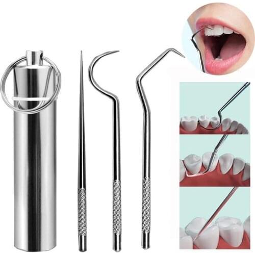 3Pcs/set Stainless Steel Toothpick Oral Care Flossing Tool Portable Toothpick Set