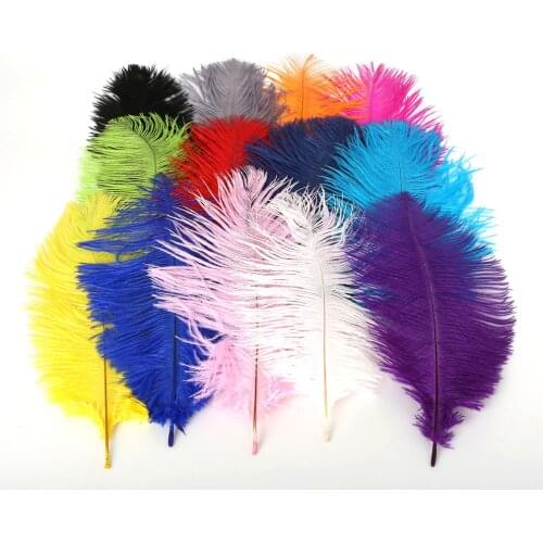 New 10pcs Beautiful Ostrich Feathers for DIY Jewelry Craft Making Wedding Party Decor Accessories Wedding Decoration (15-20cm)