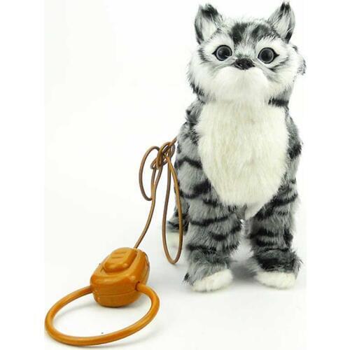 TOPEKIA High-tech Toys