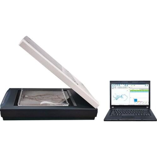 Plant Root Phenotype Analysis System with High Accuracy