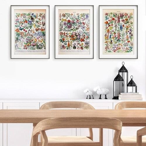 Vintage Floral Illustration Poster Antique Wall Art Print Canvas Painting Botanical Educational Picture Study Living Room Decor