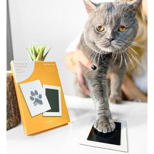 Аксессуары для собак YOK China At AliExpress