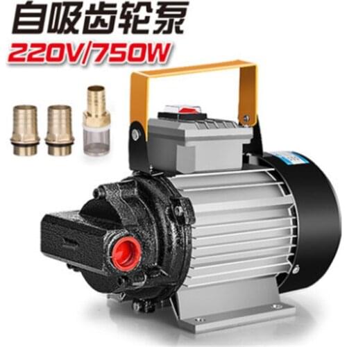 220V/12V electric oil pump DC oil pump diesel pump