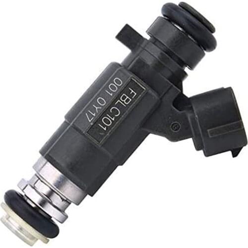 Original Engine Fuel Injector Type FBLC101