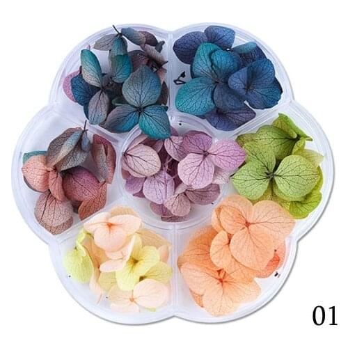 45-50pcs/box Dried Flowers DIY Epoxy Resin Handmade Crafts Filling Materials