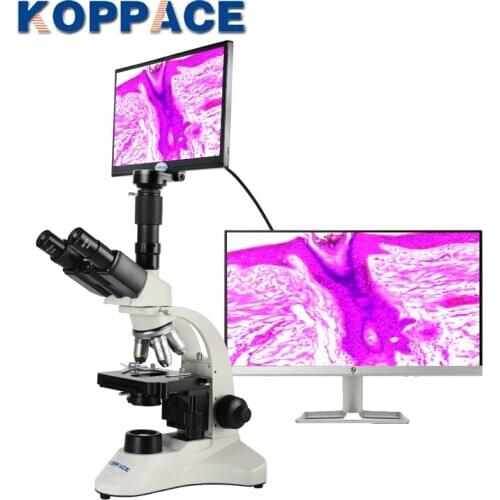 KOPPACE 40X-1600X Trinocular Biological Microscope 11.6-inch Display Can Take Pictures Videos Compound Lab Microscope