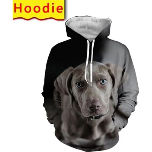LIASOSO 2021 Fashion A Girl and Her Boxer Dog 3D Print Hoodie Men Women Sweatshirt Casual Pet Dog Designs Hooded jacket