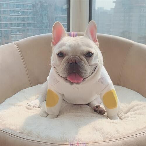 NEW Soft Dog Sweater Classic Pet Pug Casual Outfit Costume Fashion Chihuahua Designer Sweater Jacket For Small Dogs A91