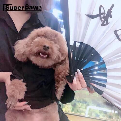 Fashion Dog Summer T-shirt Corgi Schnauzer Cool Vest Pet Clothes For Small Dogs Clothing Pug Teddy Costume Dropshipping GKC24