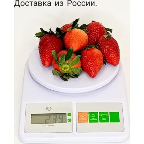 Нет бренда Measuring Containers And Scales For Kitchens