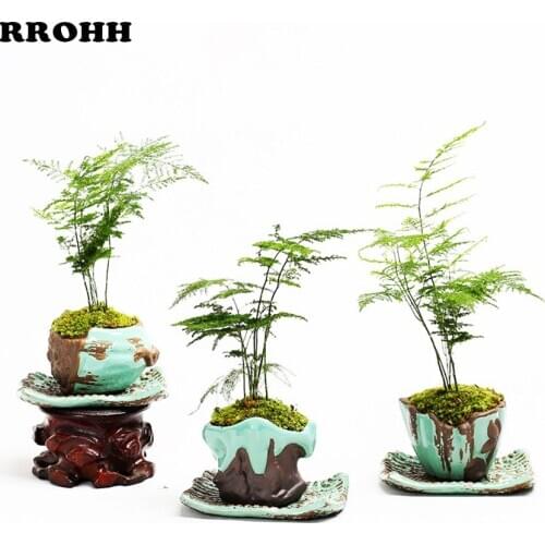 Ceramic Creative Exquisite Sapphire Flower Pot Vintage Rough Pottery Flower Bamboo Succulent Vase Small Flower Pot with Tray