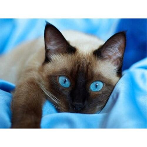 5d Diy Diamond Painting Cat Animal Diamond Embroidery Animal Gift Home Decor Picture Of Rhinestones Cross Stitch Kits