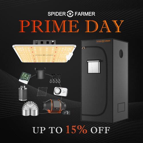 SPIDER FARMER Professional Lighting