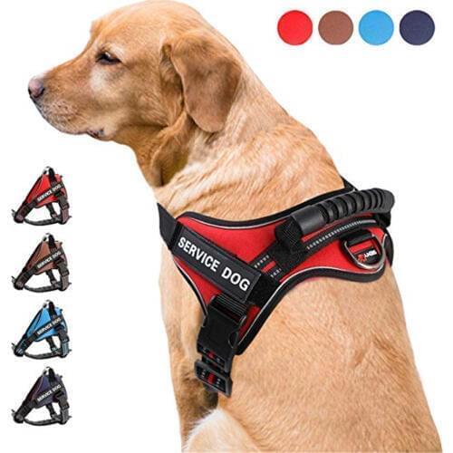 Reflective Dog Harness Vest Nylon Large pet Dog Harness Vest Breathable Mesh Pet Leash Harness for Small Medium Large Dog